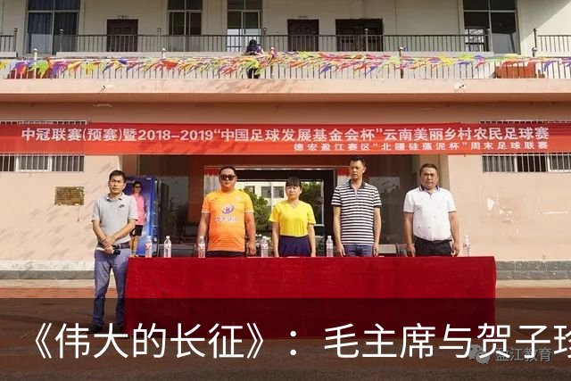 《伟大的长征》：毛主席与贺子珍的儿子毛岸红，为何取名叫毛毛？