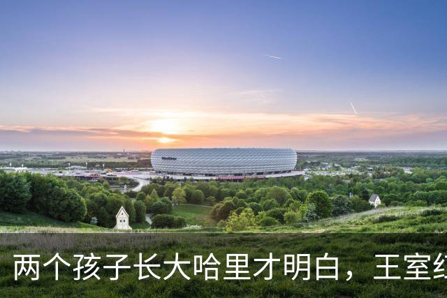 两个孩子长大哈里才明白，王室红利对他们有多重要，可惜有点晚了