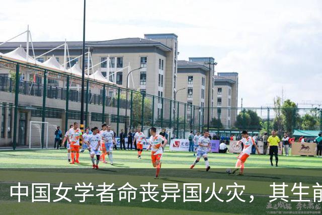 中国女学者命丧异国火灾，其生前研究近期登上顶刊 Nature