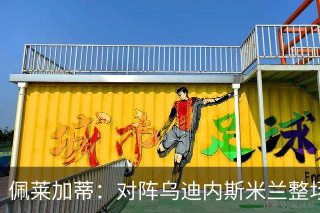佩莱加蒂：对阵乌迪内斯米兰整场都保持了高度专注，这很积极