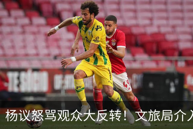 杨议怒骂观众大反转！文旅局介入，原因曝光？网友：就该狠狠的骂