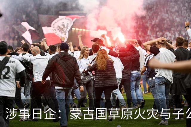 涉事日企：蒙古国草原火灾与子公司高管活动有关