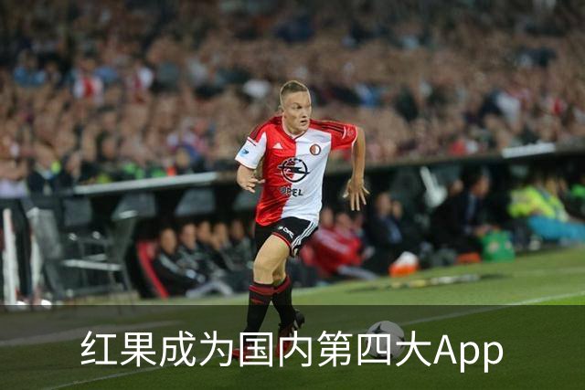 红果成为国内第四大App