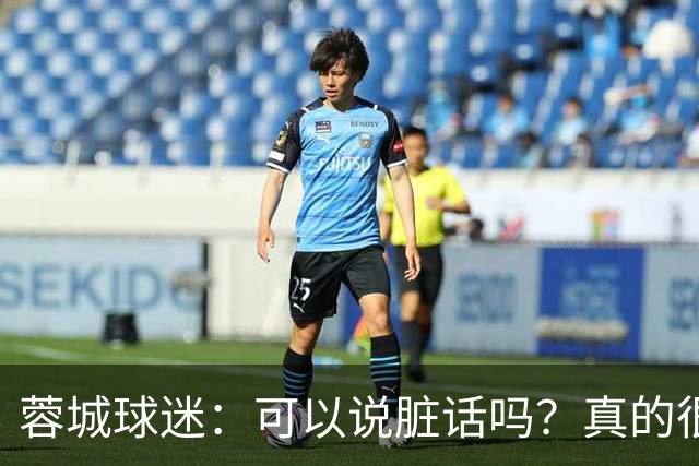 蓉城球迷：可以说脏话吗？真的很丢脸，主教练必须下课