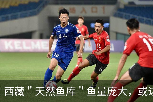 西藏＂天然鱼库＂鱼量庞大，或达2亿公斤？为何人们不进行打捞？